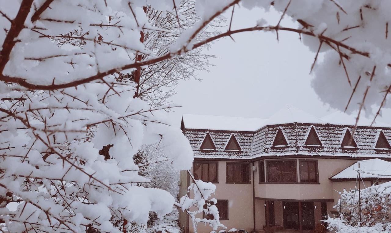 Inaisi Hotel Kutaisi Exterior photo